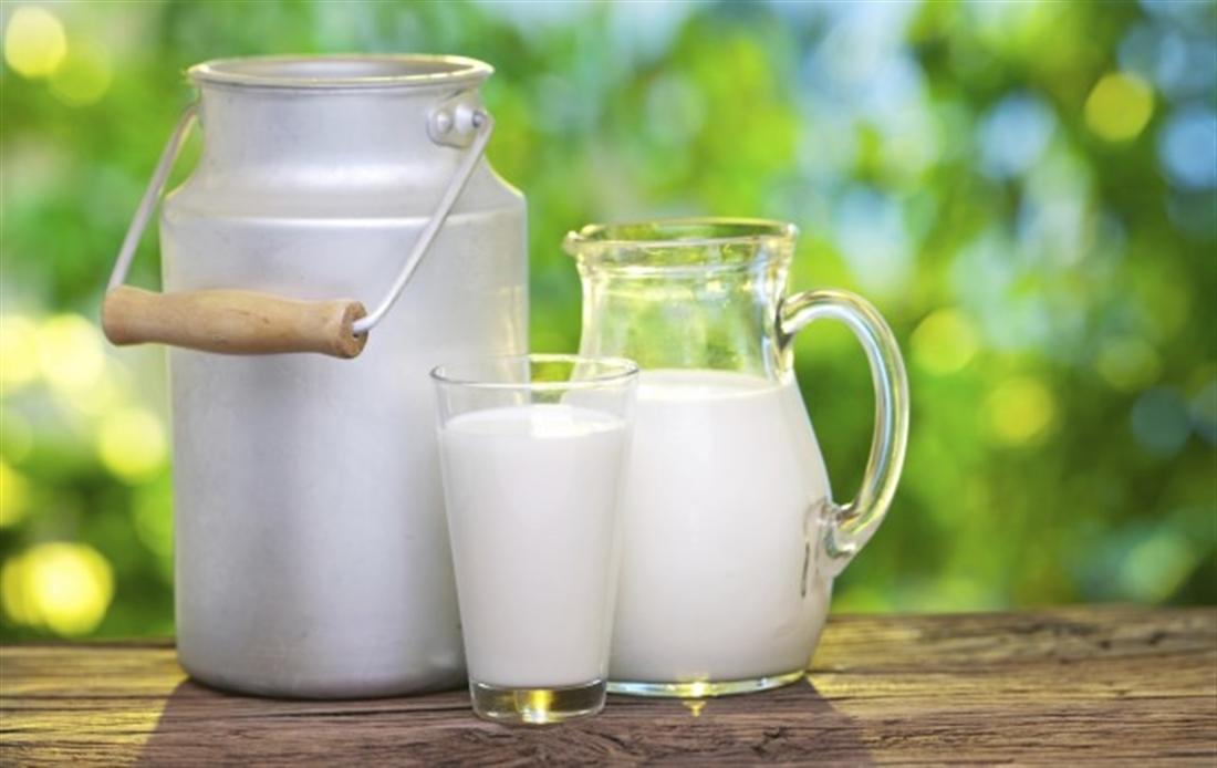 Il latte tra mito, gusto e scienza 